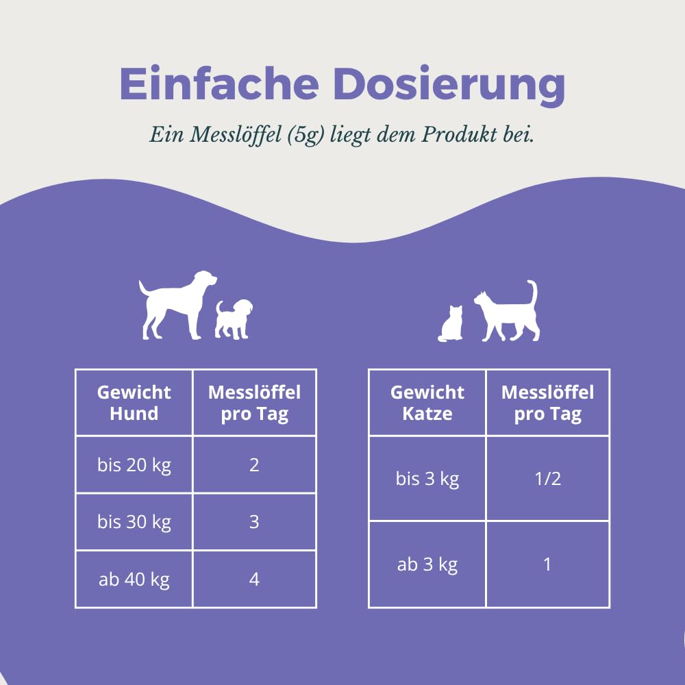 Senior Power – 5-Fach Nährstoffkomplex mit Molkenprotein, Omega-3, Taurin & Vitaminen für Hunde & Katzen Senioren – Muskelaufbau & Fitness-Booster im Alter – Pulver | 280g