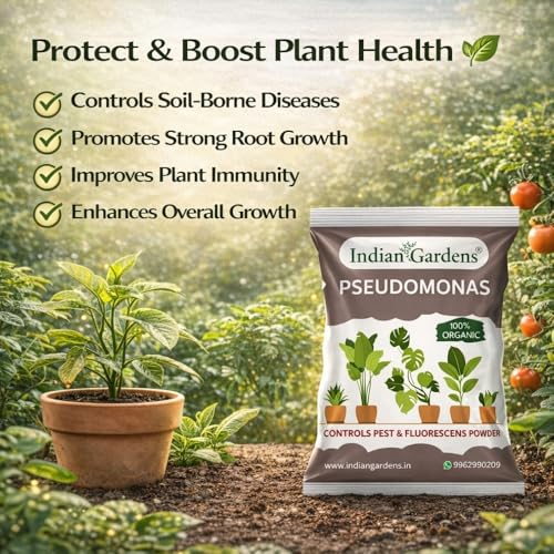 Image of Indian Gardens - Pseudomonas Plant fertilizer | Soil health booster | Pseudomonas fluorescens |Chemical-free plant food - 200 Grams