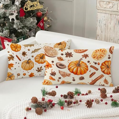 Housse de coussin 60x80 imperméable pour canapé et extérieur lot de 2