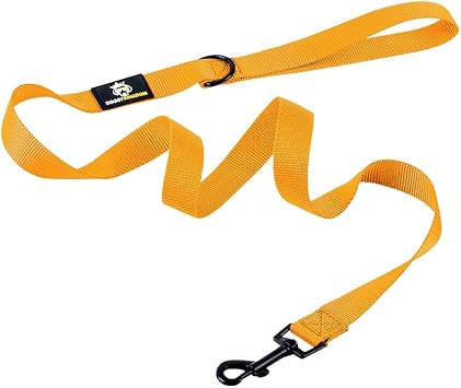 DOGGYKINGDOM Nylon Dog Leash - Strong, Durable, 1 inch Wide and 4 ft Long Traditional Style Leash with Easy to Use Bolt Snap for Small Medium Large Dogs - Orange