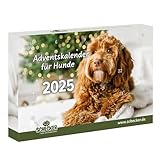 Schecker-Adventskalender für Hunde