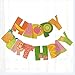 Colorful Paper Fruit Happy Birthday Party Banner Garland for Birthday Luau Tiki Party Decorations Supplies Pack of 2 By PROPARTY