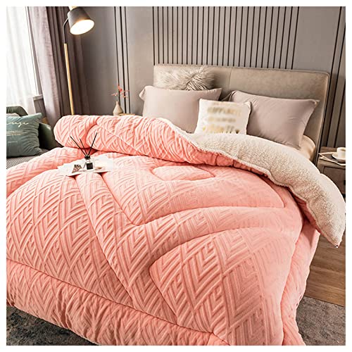 Winter Quilt, Thicken Warm Lamb Cashmere Blanket Winter, Lamb Wool Blanket, Heavy Blankets for Winter Double Bed, Bedding Fleece Blanket for Home Bedroom,B,150x200cm(2.5kg)