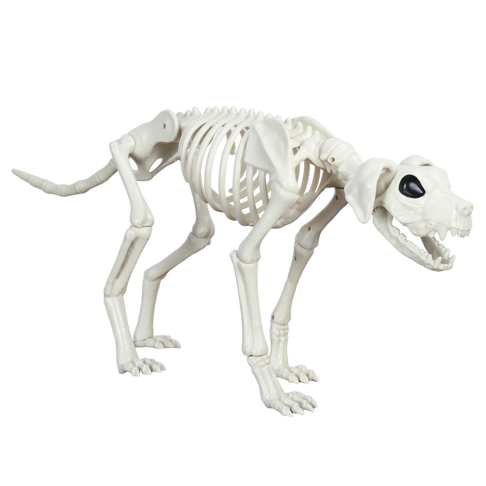 Pofluany White Halloween Decoration Skeleton Dog, Skeleton Animal Plastic Puppy With Posable Joints Halloween Outdoor Indoor Decor Yard Garden Haunted House Party Favors Decor