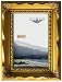 Imperial Frames 8 by 10-Inch/10 by 8-Inch Picture/Photo/Certificate Frame, Gold Molding with Floral Designs