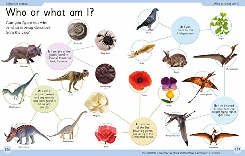 First Dinosaur Encyclopedia (DK First Reference)