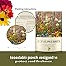 SunHaven Seeds Cut Flower Garden Seed Mix – 15,000+ Seeds – 1 oz Extra Large Packet – Non-GMO Flower Seeds – Zinnia, Cosmos, Larkspur, Calendula, Bishop’s Flower & More for Bouquets & Cutting Gardens
