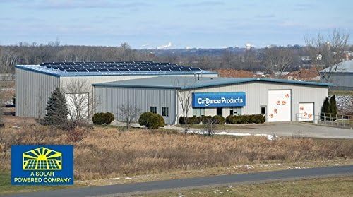 Miniatura 8 de CAT DANCER Products Jungle Cat Charmer, juguete de varita de la selva para entrenamiento de gatitos, cinta colorida para gato, varita interactiva