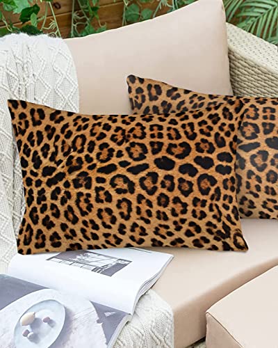 Edwiinsa Outdoor Pillow Covers Waterproof, Leopard Texture Animal Fur All Weather Cushion Case Set of 2, Cheetah Lumbar Pillowcase for Sofa Couch Bed Decor Patio Furniture 20