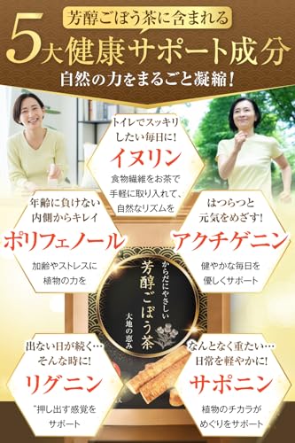 美健style+ ごぼう茶 国産 50包