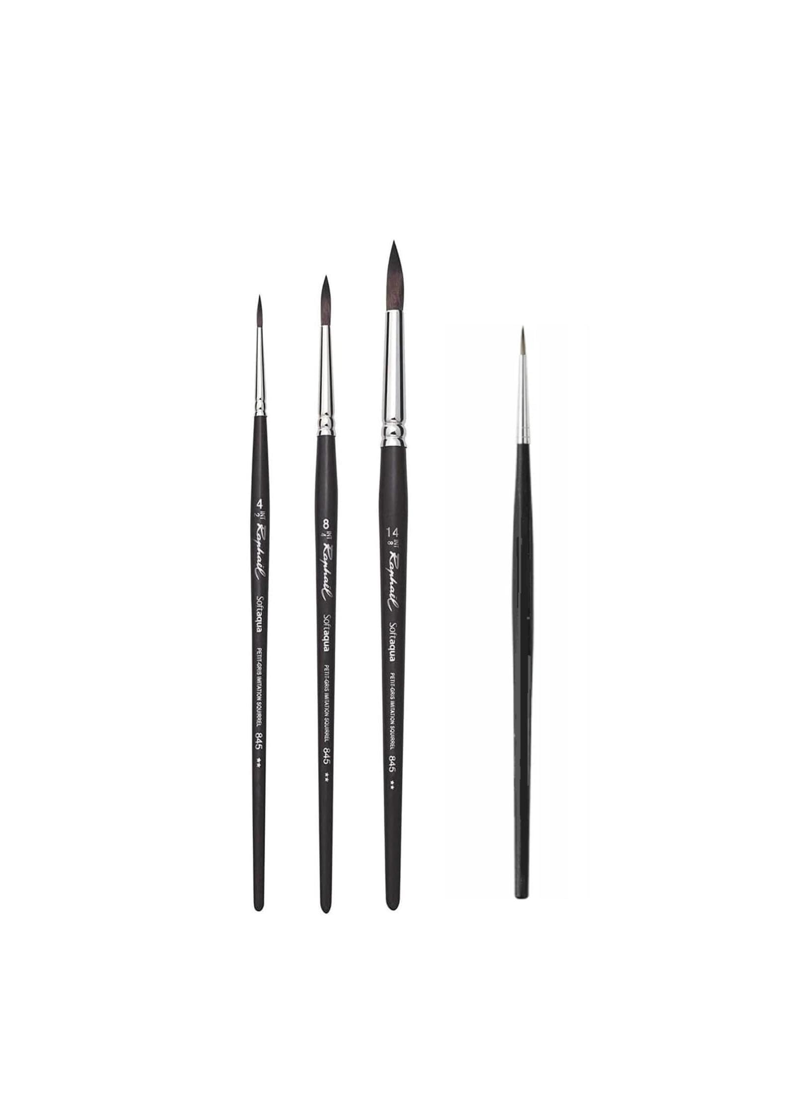 Pinceau Raphael SOFTAQUA.SÉRIE 845 Vegans. N°4 .8. 14 Set 3PCS (Raphael France) + 1 Pinceau
