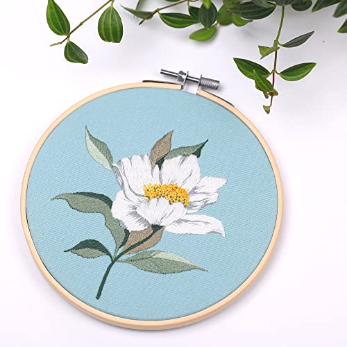 Reewisly 6 Pcs Of Embroidery Kits With Patterns And Instructions, Diy Adult Beginner Cross Stitch Kits, 6 Pcs Bamboo Embroidery Hoop, 1 Pair Of Scissors, Colored Threads And Needles #TOP6