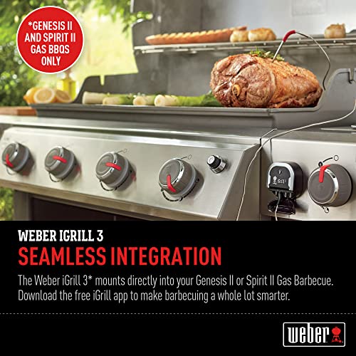 Weber Igrill 3 Grill Thermometer #TOP1