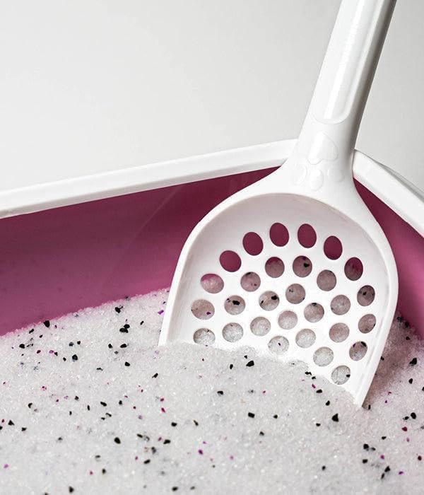 Litière pour chat anti-odeur en silice et charbon actif pour bac propre