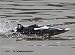 Produktbild HobbyKing - FT012 Brushless V-Hull Racing Boat With Self-Righting Feature (UK Plug) - DIY Maker Booole