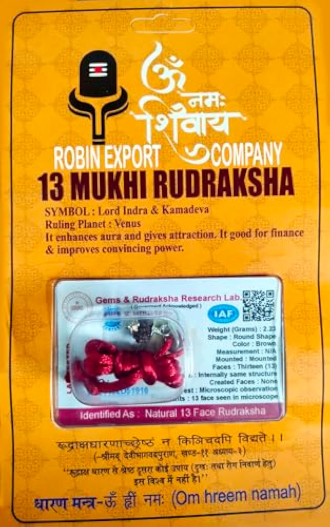 13 Mukhi Nepali Rudraksha, Certified Quality
