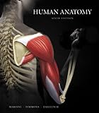 Human Anatomy