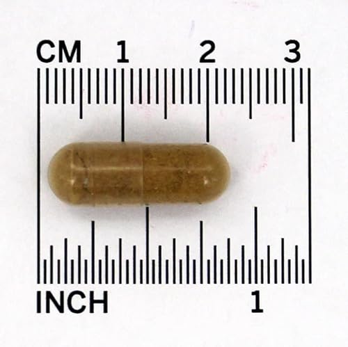 Natures Way Licorice Root 100 Vegetarian Capsule, 100 Ct #TOP3