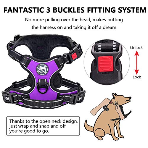 Image of PoyPet No Pull Dog Harness, No Choke Front Lead Dog Reflective Harness, Adjustable Soft Padded Pet Vest with Easy Control Handle for Small to Large Dogs(Purple,XS)