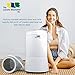 The Laundry Alternative Drop Compact Washer - Countertop Washing Machine & Spinner, Space Saver, Stainless Steel Drum, Apartment-Friendly, Convenient Drain Hose, Easy Cleaning, 4.4 lb. Capacity