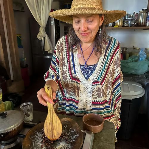 『E95 - Der Ameisen Kochkurs』のカバーアート