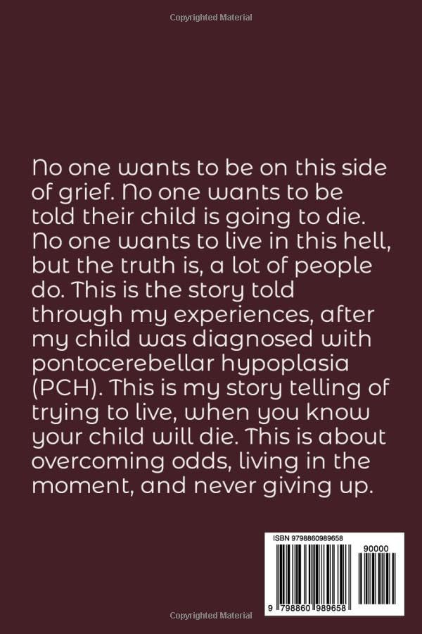 Miniatura 2 de Aurora's Journey The Beginning