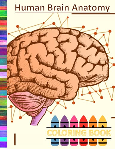 Human Brain Anatomy Coloring Book: Human Brain Student'S Self-Test Coloring Book/Anatomy Workbook For Kids & Adults Gift For Human Anatomy Students & 