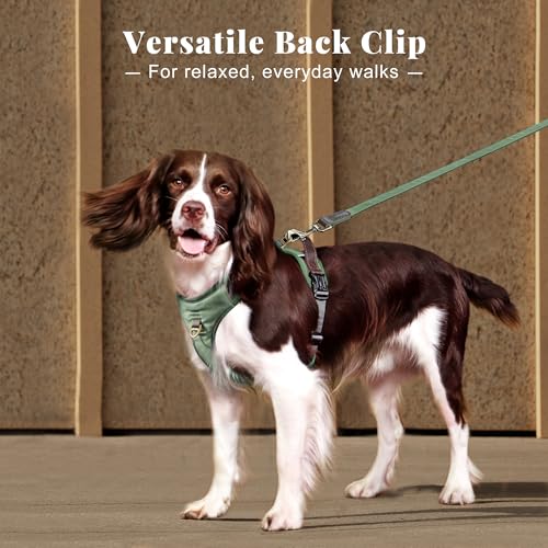 Image of Didog No Pull Dog Harness for Medium Dogs, Classic PU Leather, Green, M