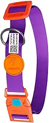 Coleira Com Identificação - Localizador - Qr Code - Com Nome Do Pet - Cães (New Purple, G)