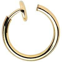 Algopix Similar Product 18 - BodyJewelryOnline NonPiercing Hoops 