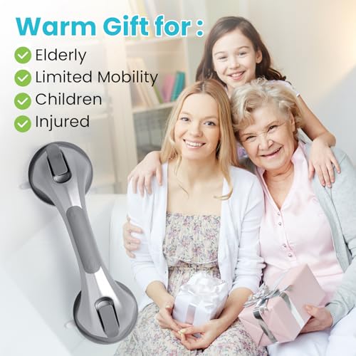 Image of TAILI Grab Bars for Shower,Shower Handles for Elderly Suction,12.2 inch,Silver