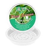 Gardzen Heavy Duty Clear Plastic Plant Saucers, Flower Pot Tray - Excellent for Indoor & Outdoor Plants (6-Inch, 10-Pack)