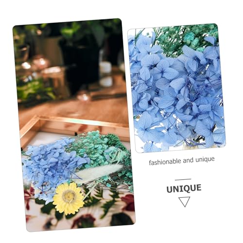 Kit de Flores Secas Naturales para Manualidades 1pack miniatura 7