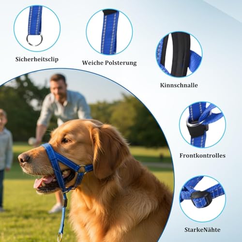 Robustes Anti-Zug-Hundeleine Set – Blaues Hundehalsband für Große Hunde, Langlebiges Trainingszubehör mit Einfacher Anpassung, Leicht & Gepolstert