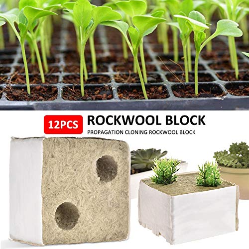 supertop 12pcs Rockwool Sheet Block, Propagation Cloning Seed Raising Hydroponic Rockwool Cubes (10010065MM)