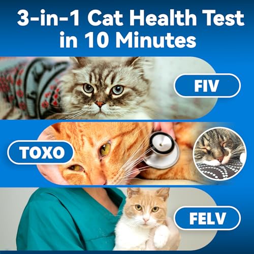 Image of 3-in-1 Cat Health Monitoring Card - Track Wellness Trends at Home, Quick & Easy Analysis