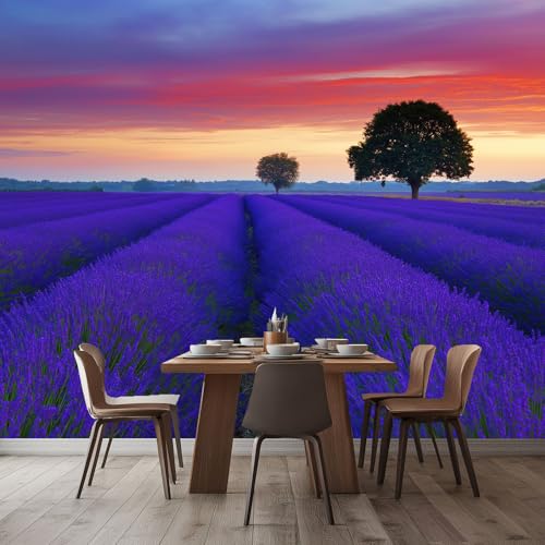 Fondos de Pantalla Murales de Fotos 250 x 175 cm (An x Al), Fondo de Pantalla Panorámico Para Decoración de Pared Naturaleza Atardecer Flores Lavanda - Morado Decoración de Hogar