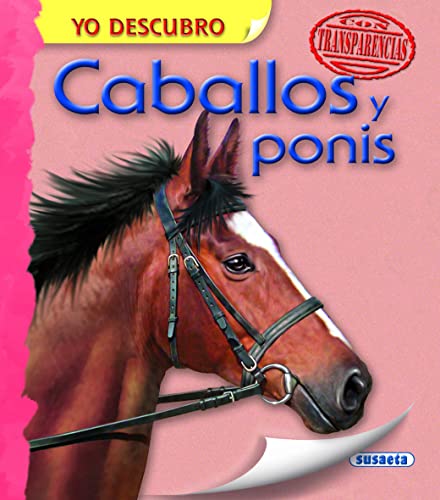Caballos y ponis [Spanish] 8467724293 Book Cover