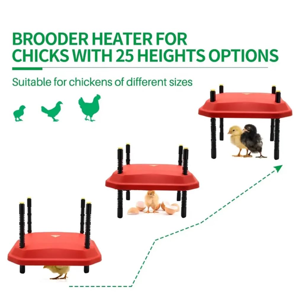 Chick Brooder Piastra di Riscaldamento,Piastra riscaldante Per Pulcini,Chick Brooder Piastra Termica,25X25 con Angolo Regolabile /Altezza / temperatura per Il Bambino Pollo Anatroccolo