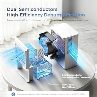 Deumidificatore 2500ML, Deumidificatore Casa Muffa Elettrico, Ultra Silenzioso, Spegnimento Automatico, Purificatore Dell'aria, Contro Umidità e Muffa per Camera da Letto (Bianco)