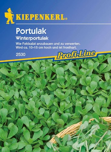 Sperli Postelein Samen - Winterharter Portulak Für Herbst & Winter