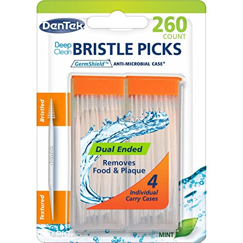 Dentek Deep Clean Dental Picks Fresh Mint, 250 Ct (Pack of 2)