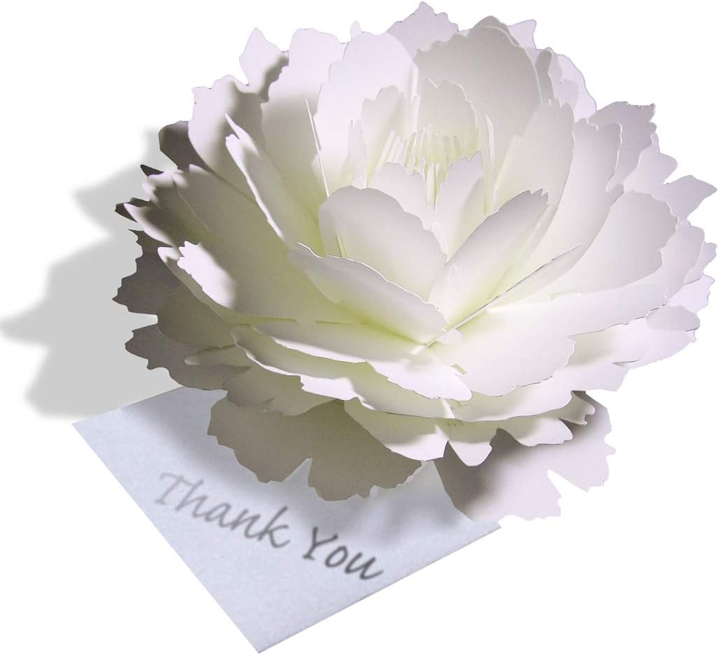 Amazon ピオニー 咲くようにひらく 花のサンキューカード Forバースデー 誕生日 ウェディング アニバーサリー 母の日 クリスマスカード グリーティングカード グリーティングカード 文房具 オフィス用品