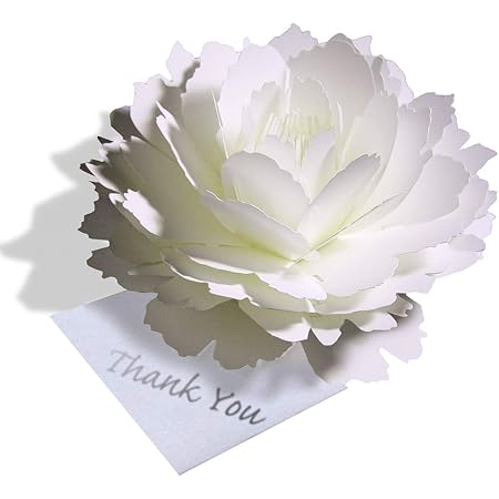 Amazon ピオニー 咲くようにひらく 花のサンキューカード Forバースデー 誕生日 ウェディング アニバーサリー 母の日 クリスマスカード グリーティングカード グリーティングカード 文房具 オフィス用品