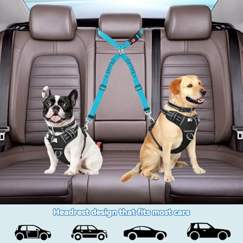 QINGYIWL Doppelter Anschnallgurt Hund Auto, 2 in 1 Verstellbarer Hundegurt fürs Auto, Sicherheitsgurt Hunde für Auto für Kleine & Mittlere Hunde (Blau)