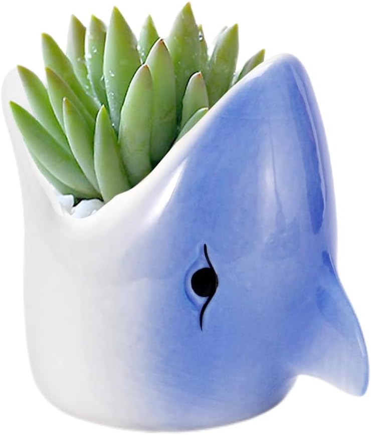 Fish Vase|Pots, Mini Ceramic Flower Planter Pot with Ceramic Tray, Shark Flower Pots for Indoor & Outdoor Garden - Plants Not Included (Blue) (One)