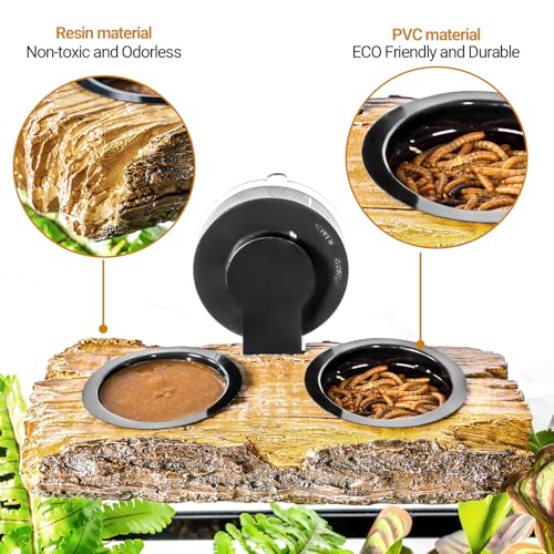 Mangeoire en résine pour reptiles avec ventouse robuste et coupelles - 6