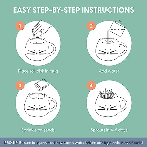 The Cat Ladies Organic Cat Grass for Indoor Cats - Growing Kit with Organic Seed Mix, Soil and White Cat Planter. Natural Hairball Control and Digestion Remedy, Cat Gifts