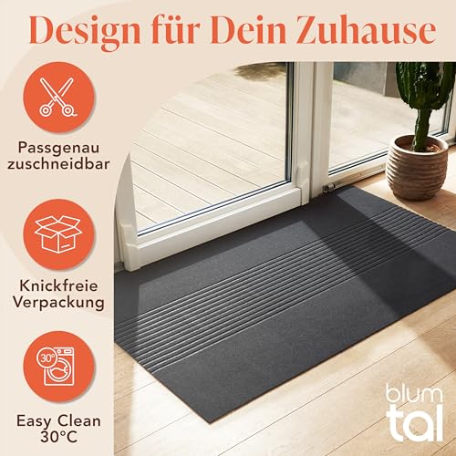 Blumtal Fußmatte 70x120 cm - rutschfeste Schmutzfangmatte - Fußabtreter mit Muster - Fußmatten Haustür - Türmatte aus Polyester - Fußmatte innen/Schmutzfangmatte außen/Floor Mat Dunkelgrau