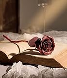 Kumi Living Handcrafted Genuine Leather Rose with Stem, Red, Gift Box Presentation, Lifelike Artisan Flower for 3rd Wedding Anniversary, Mother's Day (Dark Red)